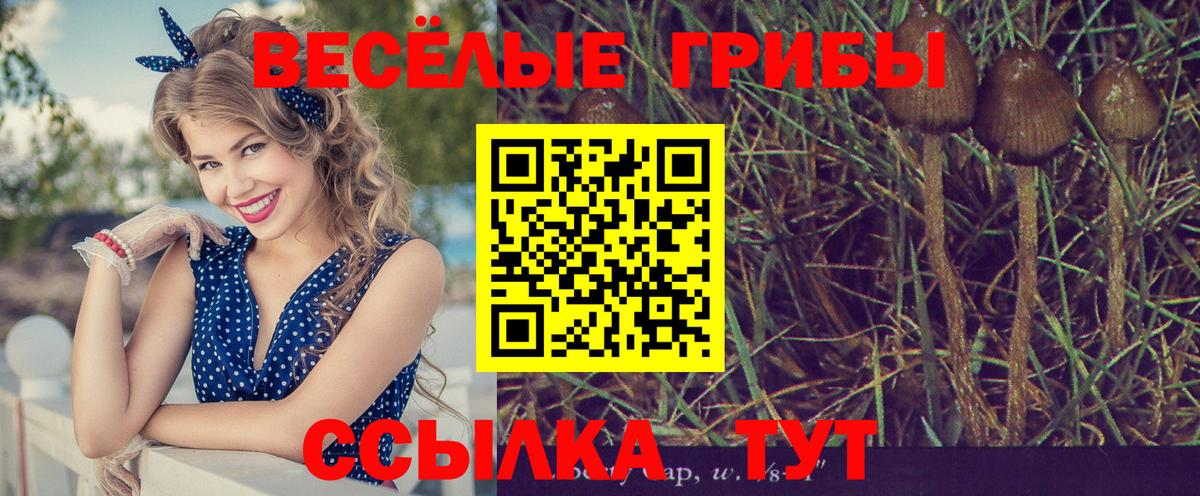 Псилоцибиновые грибы ЛСД  Вход с VPN  Полысаево 